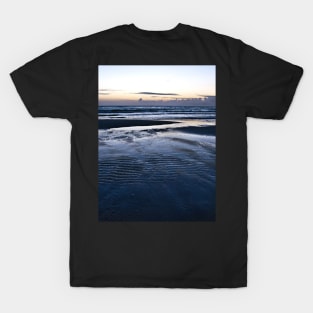 Blue Call of the Sea T-Shirt